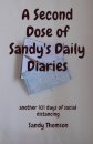A Second Dose of Sandy's Daily Diaries