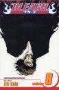Bleach, Vol. 8