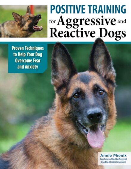 Positive Training for Aggressive & Reactive Dogs