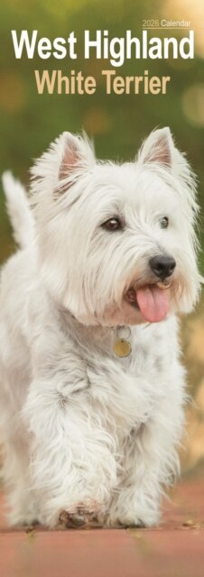 West Highland Terrier Slim Calendar 2026  Dog Breed Slimline Calendar - 12 Month