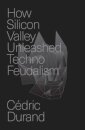 How Silicon Valley Unleashed Techno