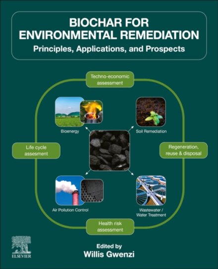 Biochar for Environmental Remediation
