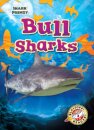 Bull Sharks