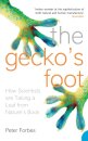 The Gecko’s Foot