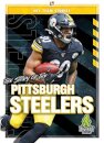 The Story of the Pittsburgh Steeler