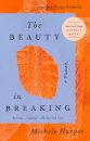 The Beauty in Breaking