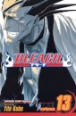 Bleach, Vol. 13