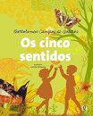 Os Cinco Sentido