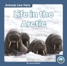 Life in the Arctic