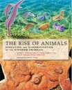 The Rise of Animals