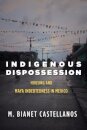 Indigenous Dispossession