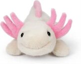 Axolotl