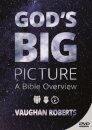 God's Big Picture