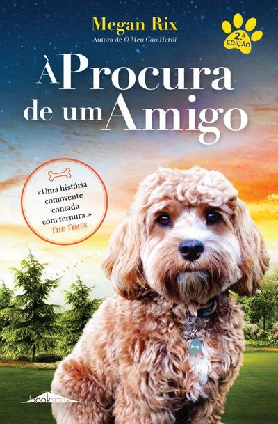 À Procura de um Amigo