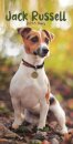 Jack Russell Terriers Slim Diary 2026