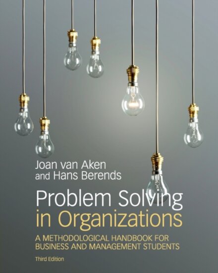 Problem Solving in Organizations