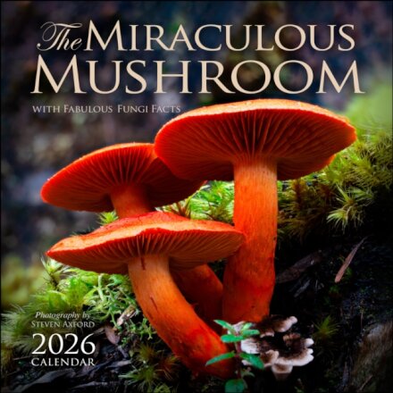 The Miraculous Mushroom 2026 Wall Calendar
