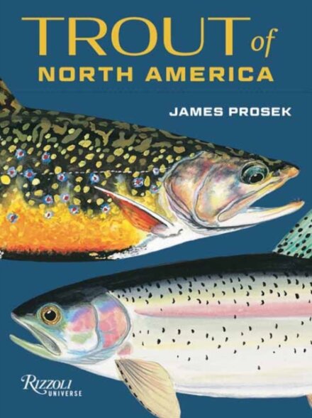 Trout North America Card Deck