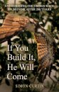 If You Build It, He Will Come