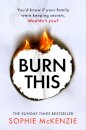 Burn This