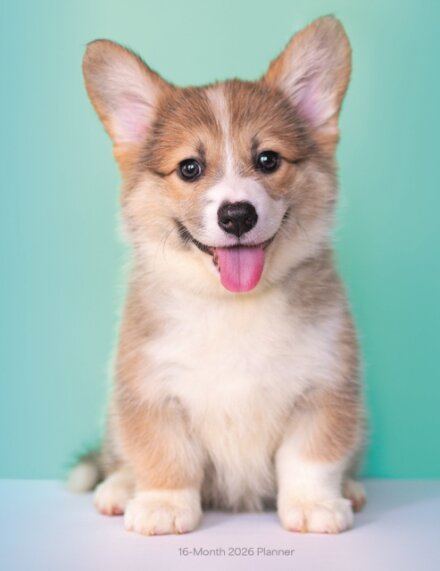 Puppies Sunday Start A5 Planner Diary 2026