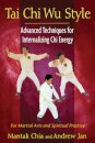 Tai Chi Wu Style