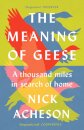 The Meaning of Geese