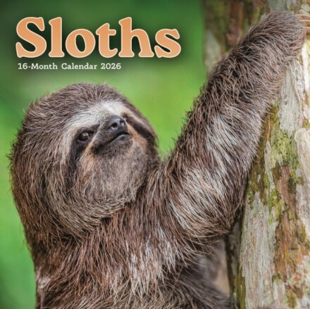 Sloths Square Mini Sunday Start Calendar