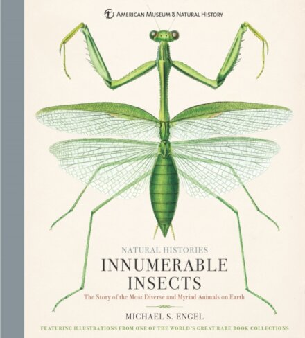 Innumerable Insects