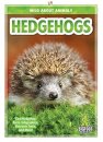 Hedgehogs