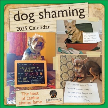 Dog Shaming 2025 Wall Calendar