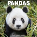 Panadas Calendar 2026  Square Animal Wall Calendar - 16 Month