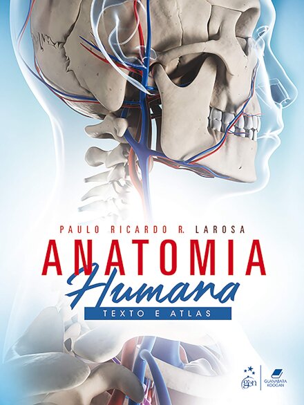 Anatomia Humana Texto E Atlas