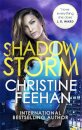 Shadow Storm