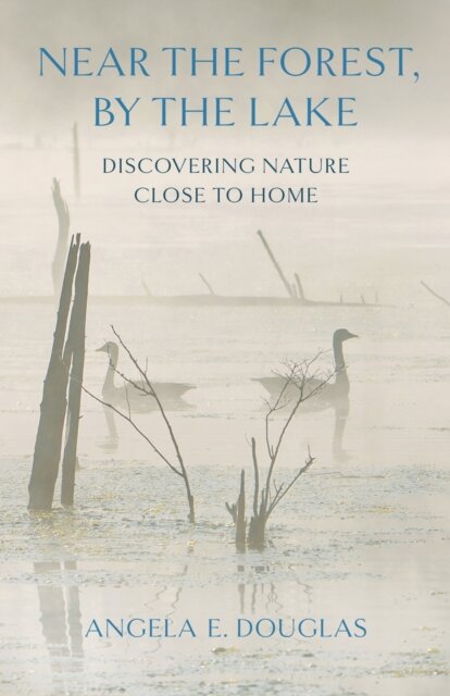 Near the Forest, by the Lake