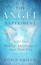 The Angel Experiment