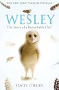 Wesley : The Story of a Remarkable Owl