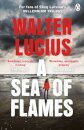 A Sea of Flames