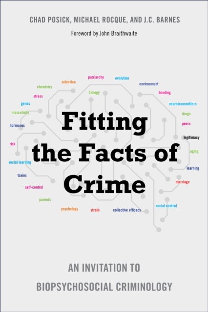 Fitting the Facts of Crime