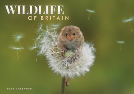 Wildlife Of Britain A4 Calendar 2026