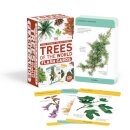 Our World in Pictures Trees of the World Flash Cards