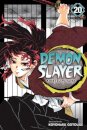 Demon Slayer V20
