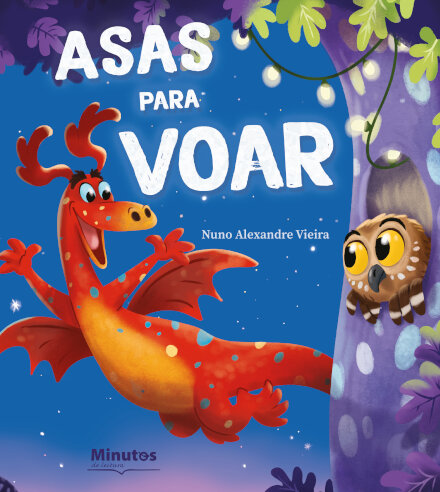 Asas para voar
