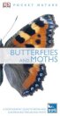 Butterflies And Moths