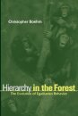 Hierarchy in the Forest