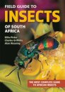 Field Guide to Insects of South Africa