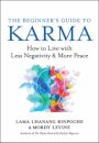 The Beginner’s Guide to Karma