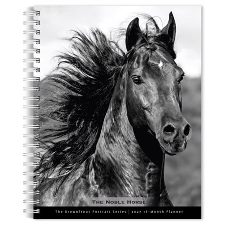 Horse, The Noble, The BrownTrout Portrait Series 2027 Engagement
