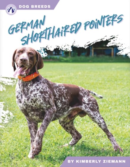German Shorthaired Pointers