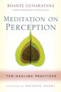 Meditation on Perception